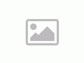 Apple iPad 9 Cellular (2021) Silver 64GB